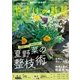 NHK 趣味の園芸 やさいの時間 2018年 06月号 [雑誌]
