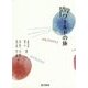 哲学ワールドの旅 [単行本]