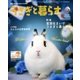 うさぎと暮らす 2018年 07月号 [雑誌]