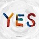 BRADIO／YES