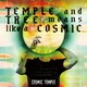 COSMIC TEMPLE／TEMPLE and TREE means like a COSMIC
