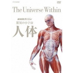 NHKスペシャル 驚異の小宇宙 人体 DVD-BOX [DVD]