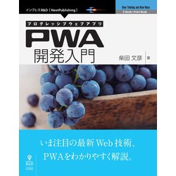 OD>プログレッシブウェブアプリPWA開発入門（NextPublishing） [単行本]