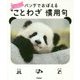 パンダでおぼえることわざ慣用句―大人も子どもも一生役立つ [全集叢書]