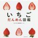 いちごだんめん図鑑 [絵本]