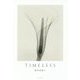TIMELESS [単行本]