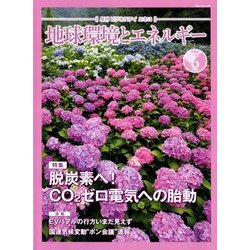月刊 ビジネスアイエネコ 2018年 06月号 [雑誌]