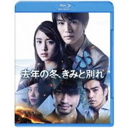 去年の冬、きみと別れ