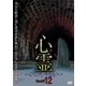 心霊 ～パンデミック～ フェイズ12 [DVD]