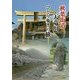 秋葉街道・天竜川ひとり歩きの旅 [単行本]