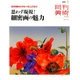 月刊 美術 2018年 07月号 [雑誌]