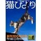 猫びより 2018年 07月号 [雑誌]
