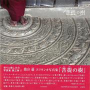 菩提の樹―関谷巖スリランカ写真集 [単行本]