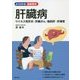 肝臓病―ウイルス性肝炎・肝臓がん・脂肪肝・肝硬変(よくわかる最新医学) [単行本]