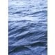 サカナクション／SAKANAQUARIUM2017 10th ANNIVERSARY Arena Session 6.1ch Sound Around [Blu-ray Disc]