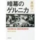 暗幕のゲルニカ(新潮文庫) [文庫]