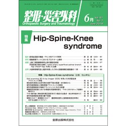 整形・災害外科 2018年 06月号 [雑誌]