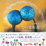 美しい変形菌 [単行本]