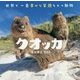 クオッカ [ムック・その他]
