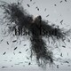 Aimer／Black Bird/Tiny Dancers/思い出は奇麗で