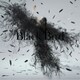 Aimer／Black Bird/Tiny Dancers/思い出は奇麗で