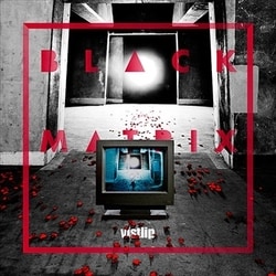 vistlip／BLACK MATRIX