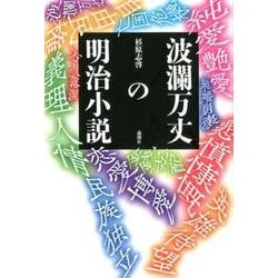 波瀾万丈の明治小説 [単行本]