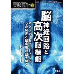 福袋 ヨドバシ.com 脳神経回路と高次脳機能-スクラップ&ビルド - 知育・学習玩具