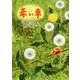 赤い車－川越文子詩集（ジュニア・ポエム双書 281） [単行本]