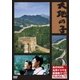大地の子 [DVD]
