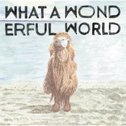 YASUYUKI HORIGOME／What A Wonderful World