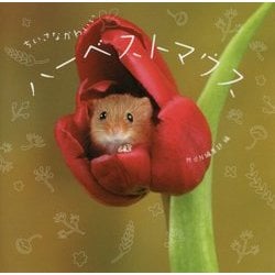 ちいさなかわいいハーベストマウス [単行本]