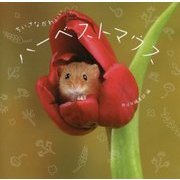 ちいさなかわいいハーベストマウス [単行本]