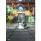 神様の護り猫―最後の願い叶えます(小学館文庫キャラブン!) [文庫]
