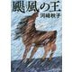 颶風(ぐふう)の王(角川文庫) [文庫]