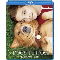 僕のワンダフル・ライフ [Blu-ray Disc]