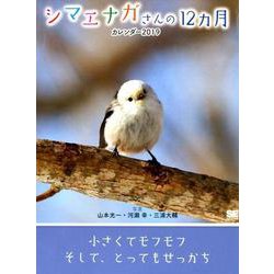 ヨドバシ Com シマエナガさんの12ヵ月カレンダー卓上 19 単行本 通販 全品無料配達