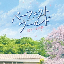 羽毛田丈史／パーフェクトワールド 君といる奇跡 Original Soundtrack
