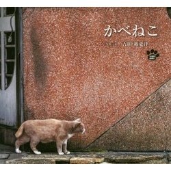 ヨドバシ Com かべねこ 単行本 通販 全品無料配達 ヨドバシ Com かべねこ 単行本 通販 全品無料配達