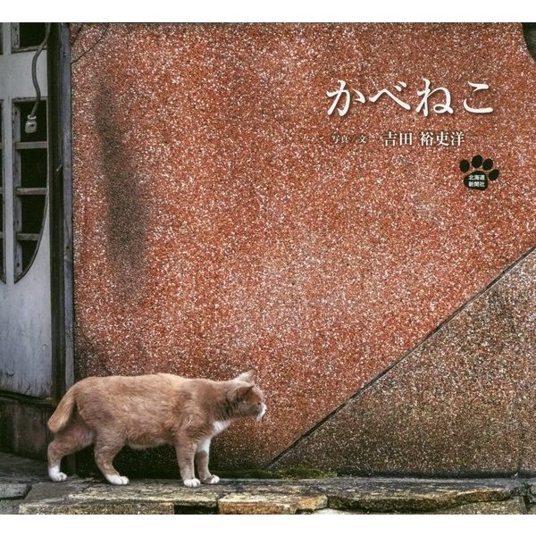 かべねこ [単行本]