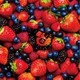 髭(HiGE)／STRAWBERRY TIMES (Berry Best of HiGE)