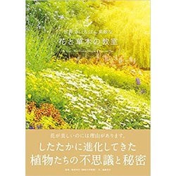 世界でいちばん素敵な花と草木の教室 [単行本]