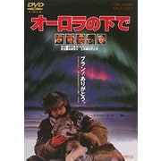 オーロラの下で