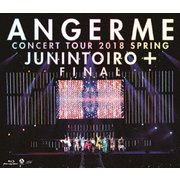 アンジュルム コンサートツアー2018春十人十色+ファイナル