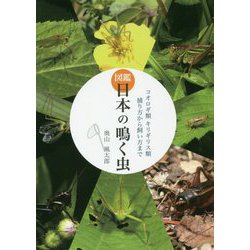 図鑑 日本の鳴く虫―コオロギ類キリギリス類捕り方から飼い方まで [単行本]