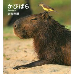 かぴばら(IWAGO'S BOOK〈5〉) [単行本]