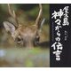 屋久島 神々からの伝言 [単行本]