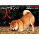 ニッポンの犬カレンダー 2019 [カレンダー]