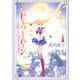 美少女戦士セーラームーン（1）　武内直子文庫コレクション(講談社漫画文庫) [文庫]