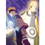 BORUTO-ボルト- NARUTO NEXT GENERATIONS DVD-BOX4 【中忍試験編/超チョウチョウ蝶モード編】